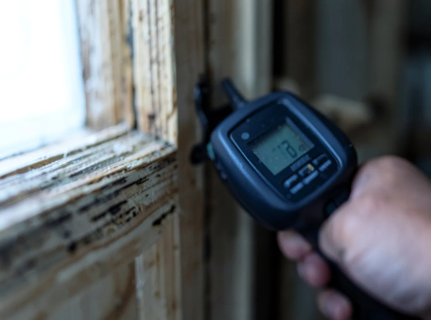 Ceiling Water Damage Repair in Arboles, CO